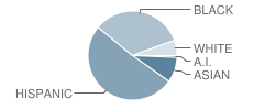 Paul A Dever School Student Race Distribution