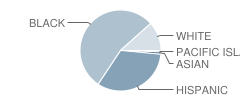 Samuel W Mason School Student Race Distribution