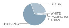 Sarah Greenwood School Student Race Distribution