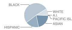 Thomas J Kenny School Student Race Distribution