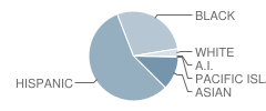 William E Russell School Student Race Distribution