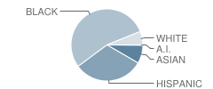 Wm B Rogers Middle School Student Race Distribution