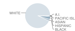 Bourne High School Student Race Distribution