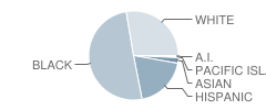 Downey School Student Race Distribution