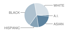 John M Tobin School Student Race Distribution