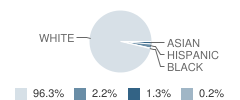 Craneville School Student Race Distribution