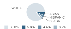 Thoreau School Student Race Distribution