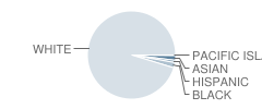 Joseph Demello School Student Race Distribution
