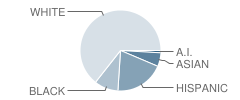 Avery School Student Race Distribution