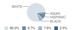 Dedham Middle School Student Race Distribution