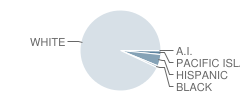 Heritage School Student Race Distribution