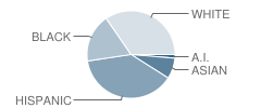 Sumner G. Whittier School Student Race Distribution