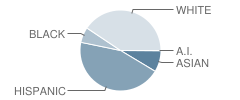 Memorial Intermediate School Student Race Distribution