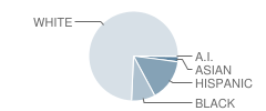 Cameron Middle School Student Race Distribution