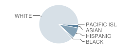 Sheffield Elementary School Student Race Distribution