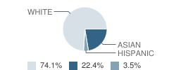 South Grafton Elementary School Student Race Distribution