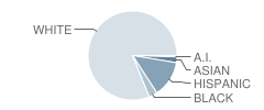 Greenfield Middle School Student Race Distribution