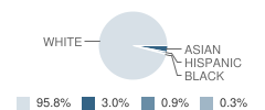 Hamilton-Wenham Regional High School Student Race Distribution