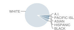 Minnechaug Regional High School Student Race Distribution