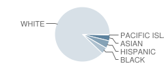 Wilbraham Middle School Student Race Distribution