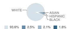 Hingham High School Student Race Distribution