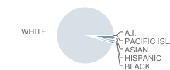 Hopkinton Middle School Student Race Distribution