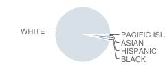 Hull High School Student Race Distribution