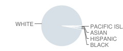 Kingston Intermediate School Student Race Distribution