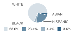 Priest Street School Student Race Distribution
