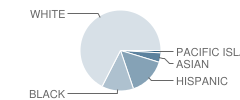 Hanscom Primary School Student Race Distribution