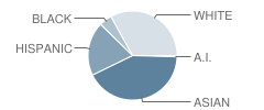 Washington School Student Race Distribution