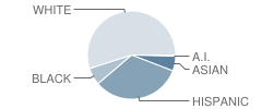 Aborn School Student Race Distribution