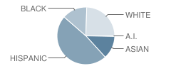 Breed Middle School Student Race Distribution