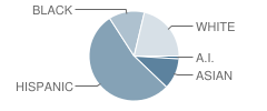 Brickett Elementary School Student Race Distribution