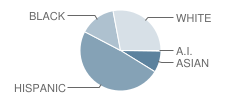 Hood School Student Race Distribution