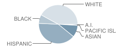 Lincoln-Thomson School Student Race Distribution