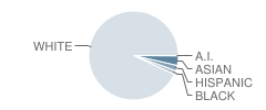 Lynnfield High School Student Race Distribution