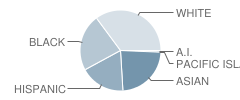 Malden High School Student Race Distribution