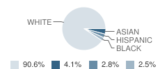 Everett W Robinson School Student Race Distribution