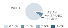 Fowler School Student Race Distribution