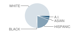 Brookside School Student Race Distribution