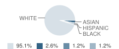 Millis High School Student Race Distribution