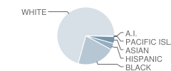 Charles S Pierce Middle School Student Race Distribution