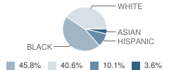 Tucker School Student Race Distribution