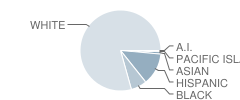 Casmir Pulaski School Student Race Distribution