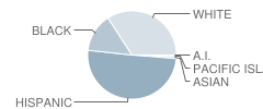 Alfred J Gomes School Student Race Distribution