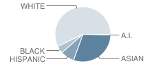 Countryside School Student Race Distribution