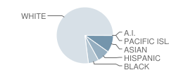 Newton North High School Student Race Distribution