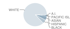 Brayton School Student Race Distribution