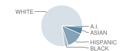 Bridge Street School Student Race Distribution